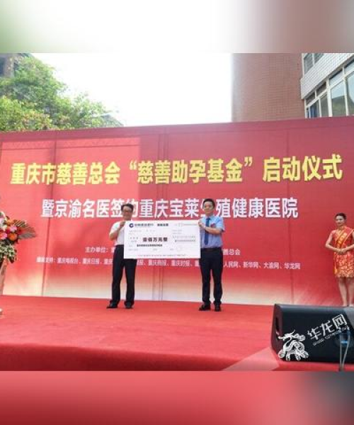 重庆助孕公司排名揭晓，专业助孕服务新视角探索