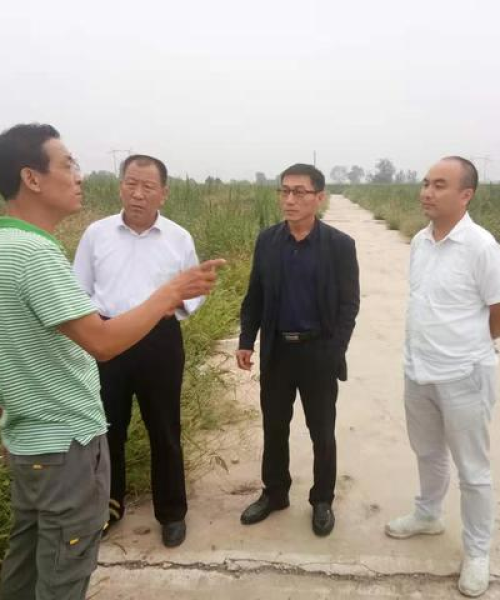 兴平庄头新闻聚焦，小镇新貌与发展动态揭秘