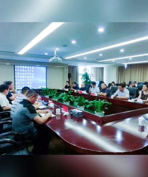 港区最新政策出炉，引领未来发展的战略新布局重磅揭晓