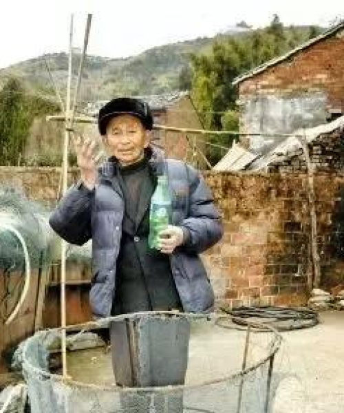 温州美食饮料TOP10榜单，独特风味，领略温州味蕾风情