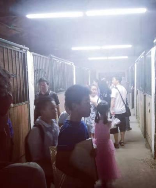 「探索之旅，从百度启程，探寻风组成语的奇妙世界」