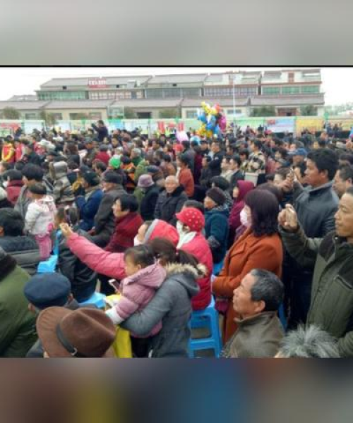 泗县直播新动态，探索今日发展，掌握最新消息