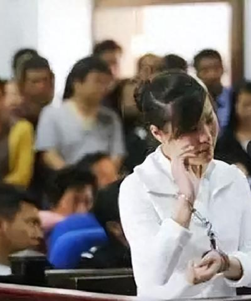 云南最大碎尸案揭秘，最新进展与案件深度探究