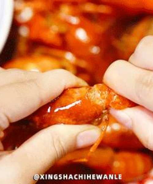 星沙最新今日头条资讯，城市活力四溢的脉搏速递
