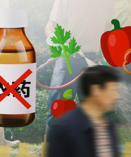 揭秘我国禁用农药种类背后的故事，最新消息全解析