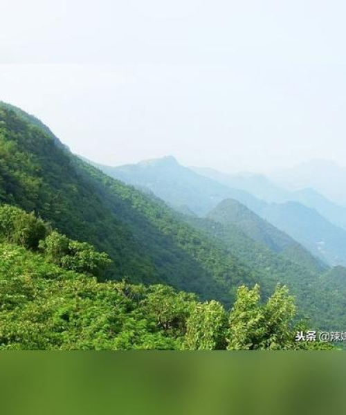 揭秘全球顶级人造草地排名榜，草场建设背后的秘密大解析！