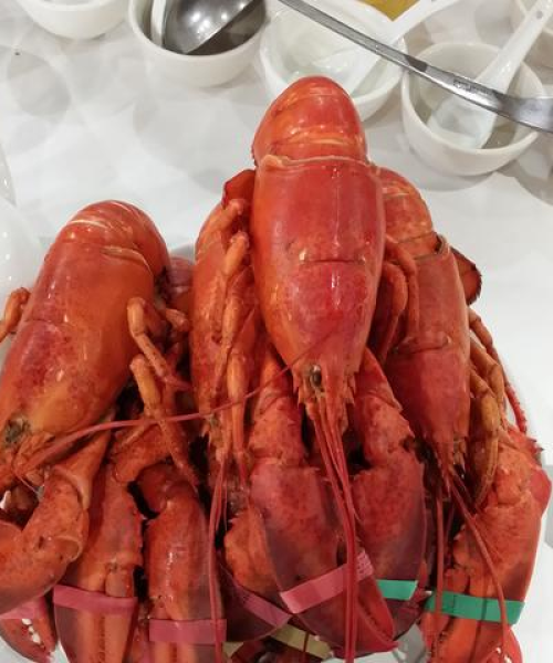 龙虾最新行情报告，今日价格走势一网打尽（4月8日）