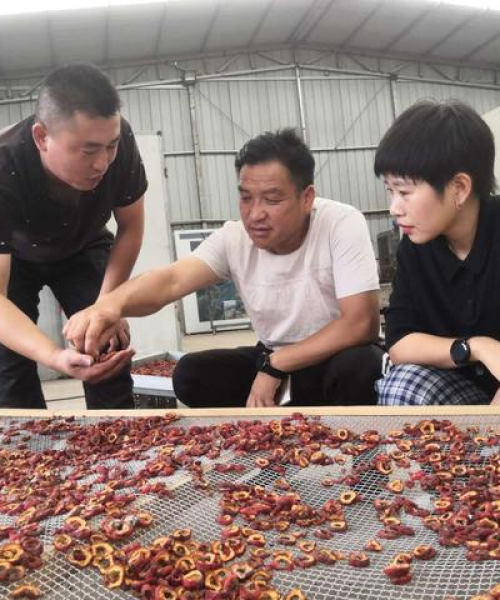 莱芜山楂事件内幕揭秘，最新视频曝光情况分析