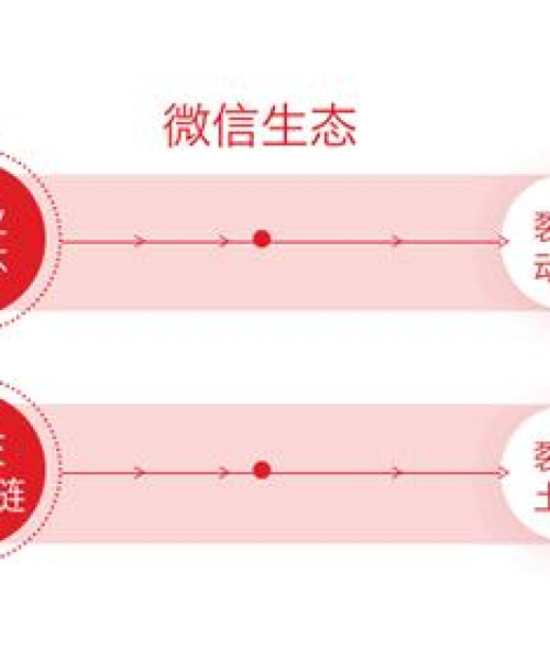 探索互联网肥沃土壤的秘密，SEO优化与搜索引擎的共生之道