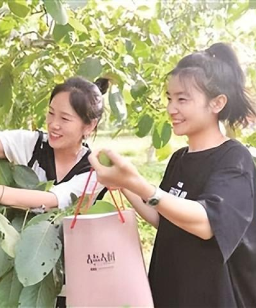 蔬菜公司权威排名榜揭晓，行业内影响力巨头揭秘！