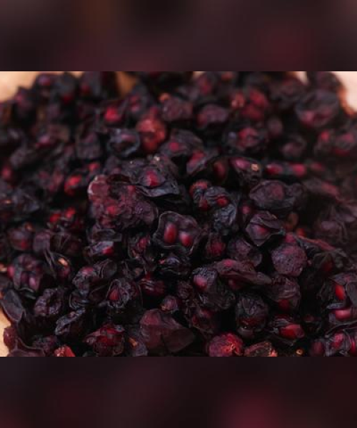 板蓝根籽种今日行情，最新价格、市场走势与种植前景深度解析