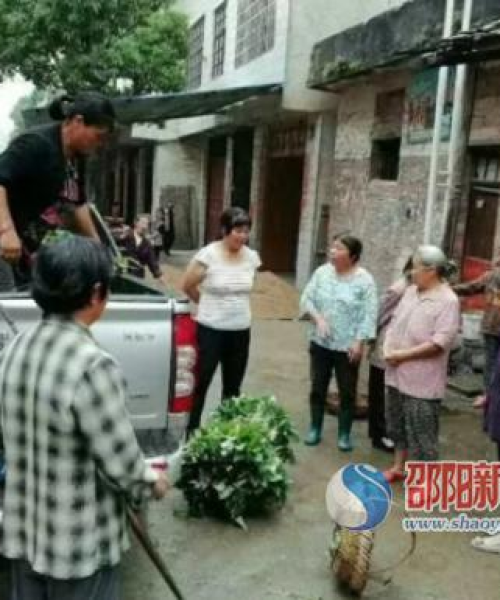 邵东气候揭秘，特点、变化一网打尽！