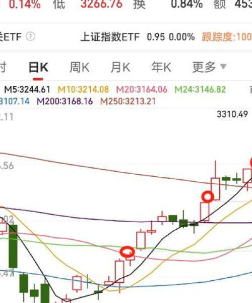 奇名股评，最新今日股市分析解读