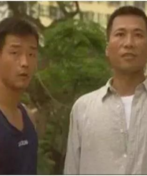 港剧女性励志语录，追梦的勇气与力量