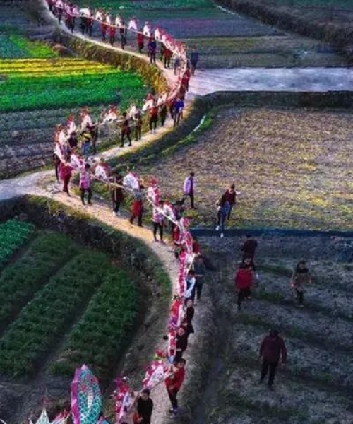 浙江昆虫公司权威排名榜，引领行业风向的领军者