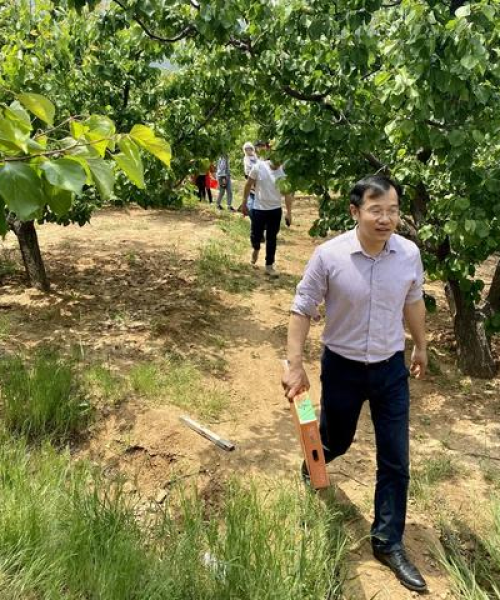 青岛城阳区IT公司排行榜及行业深度洞察揭秘