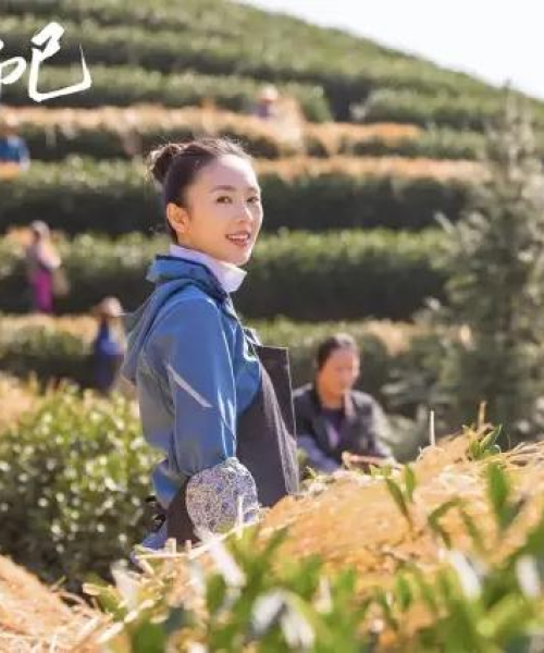 茶山隐居探秘，自然与文化融合之美旅游攻略