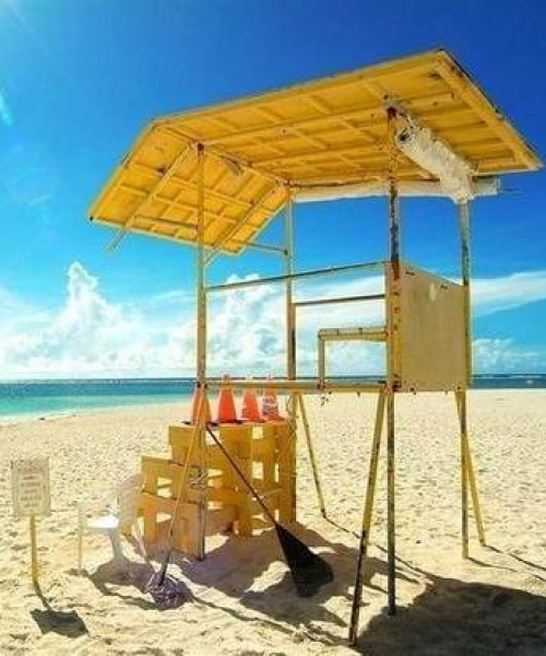 世界海胆之王揭秘，海洋中最受欢迎的海胆种类TOP榜
