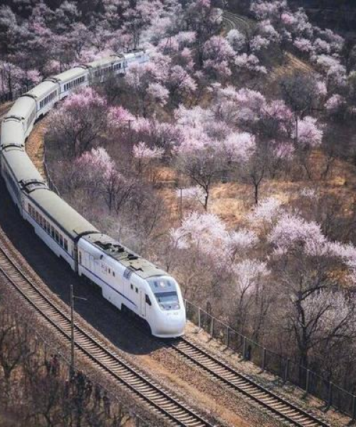 北京四月亲子游攻略，一场春天的欢乐亲子之旅