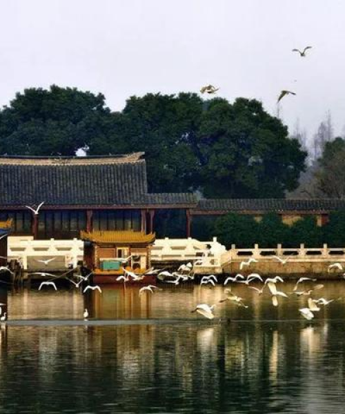 常熟尚湖新魅力揭秘，领略尚湖新闻头条下的独特风采！
