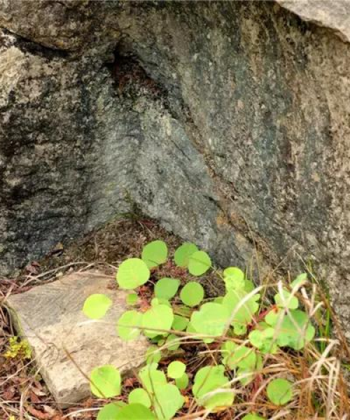 自贡今日热点速递，最新消息一览无余