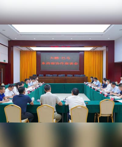 大鹏半岛新篇章，繁荣与发展共绘今日要闻