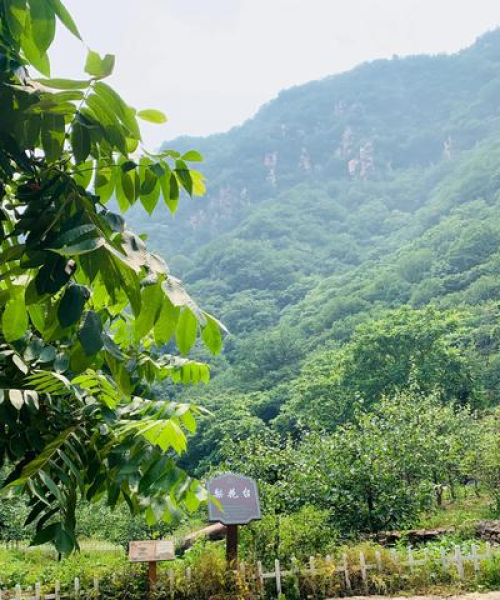蓟县梨木台，绝美风光，必游攻略！
