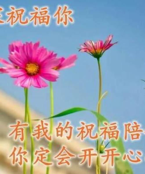 清晨励志语录，点燃青春激情，开启全新一天！