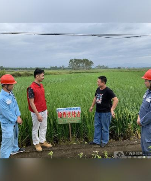 广西微型齿轮公司排行榜揭晓，探寻行业领军者的奥秘