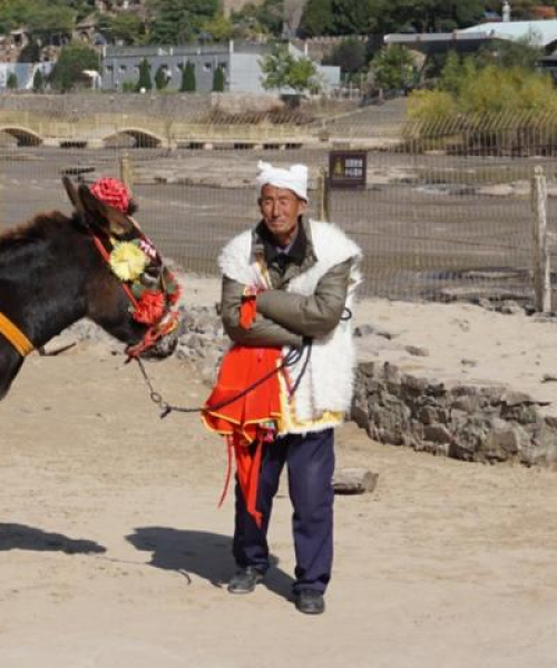 黄河壶口瀑布旅游攻略，探秘壶口镇的壮丽与魅力无穷