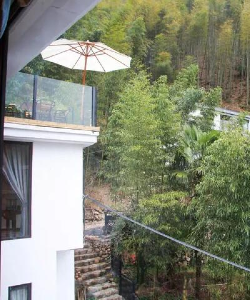 奢华品茗之旅，世界最贵茶台排名揭秘