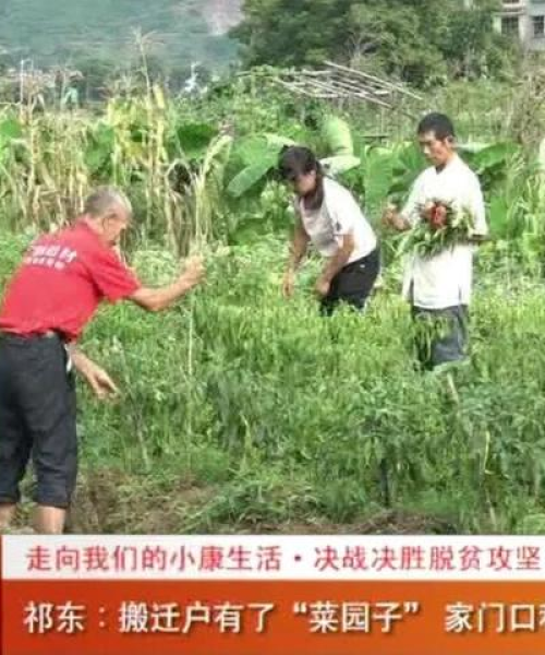 祁东县土地最新出售信息深度解析