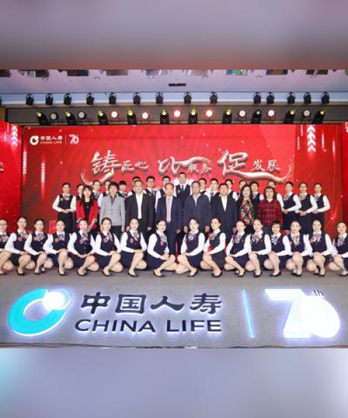 全球领先寿险公司排名揭秘，谁在人寿寿险领域独占鳌头？