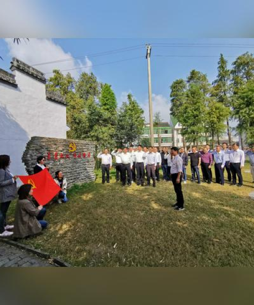 金山县三水镇发展活力与魅力揭秘，新闻头条聚焦地方发展