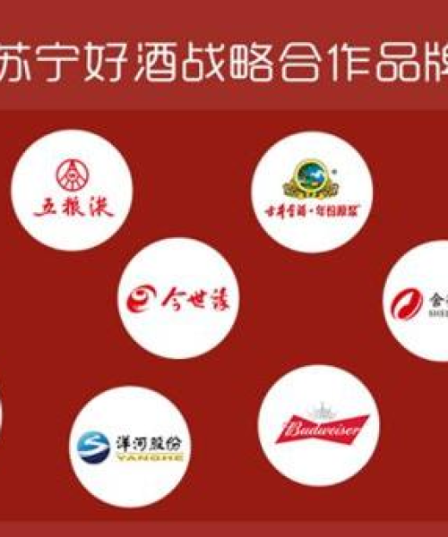 白酒板块热门股票TOP10深度解析与投资策略探讨