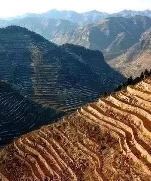 正定新区游玩攻略，历史与现代的完美交织之旅