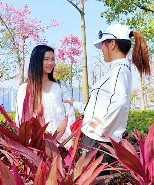 珠海春季旅游攻略，花海与海洋的浪漫相遇