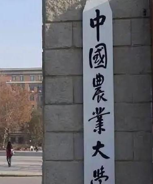高考热门院校排名TOP10，中国顶尖学府深度解读
