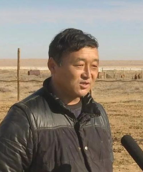 苏木地区最新发展与变迁独家头条新闻，不容错过！
