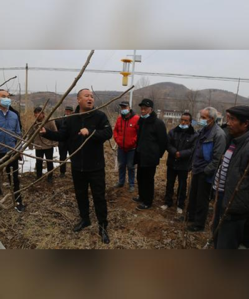 核桃村车祸现场救援进展及后续关注，最新情况速览