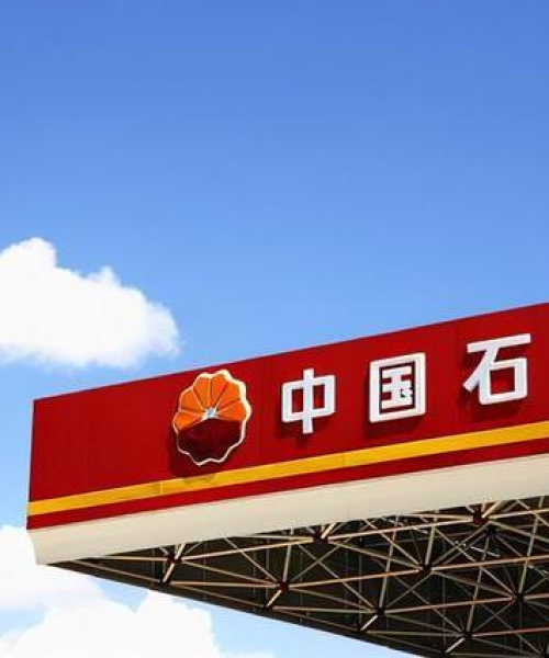 今日油价股情概览，市场走势深度分析与预测