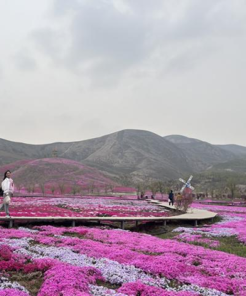 石河子营地游玩全攻略，最新指南带你玩转营地之旅！