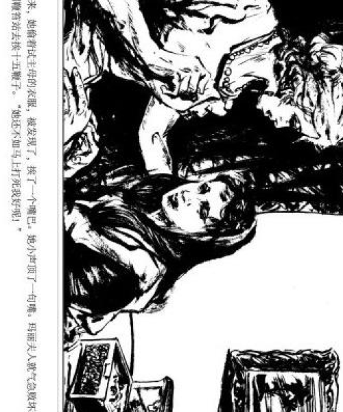 汤姆叔叔的小屋，深度剖析与PPT分享报告