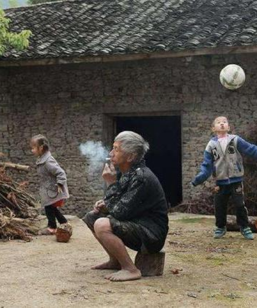 动物配合顺口溜大全集，最新热门打油诗，百度收录标准标题！