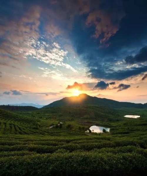 福建南靖，自然与文化交融的旅游攻略探索之旅
