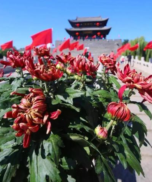 金秋十月七天游，绝美旅游攻略助你畅享长假！