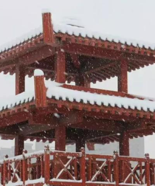 西峡新闻热点速递，今日头条一网打尽！