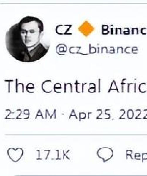 中非支付公司排名背后的力量与趋势揭秘