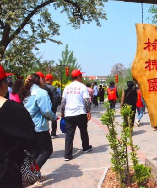 榆树烟花探店大揭秘，最新热门烟花探秘之旅视频全收录