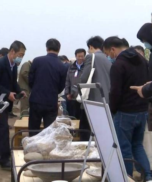 荷泽千年古城魅力之旅攻略探索